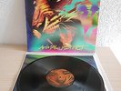 TYGERS OF PAN TANG - ANIMAL INSTINCT - LP - MINT - LIMITED 350 COPIES - NOTVD