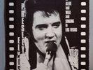 ELVIS PRESLEY - IS ALIVE AND WELL AND SINGING IN LAS VEGAS - LP ETICHETTA BIANCA