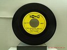 THE TITANS -(45)- THE NOPLACE SPECIAL / REVEILLE ROCK--INSTRUMENTALS-SOMA - 1964