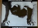 SACCHARINE TRUST Paganicons 12