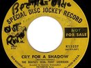 BEATLES Yellow Label DJ 45 w/ TONY SHERIDAN - CRY FOR A SHADOW (MGM) - HEAR