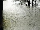 Bon Iver - For Emma, Forever Ago 12