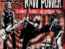Mike McCready KEXP Present Raw Power Record Store Day LTD ED Vinyl LP Pearl Jam