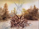SOUNDGARDEN King Animal FULLY SIGNED Vinyl LP Chris Cornell Kim Thayil AUTOGRAPH