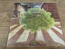 Agora - Live In Montreux 1975 ITALY LP ATLANTIC 1st PROG