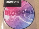 Blossoms Live  P Disc RSD 2017 record store day 2017