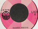 GILDARDO MONTOYA EN ACAPULCO CUMBIA SONIDERA ACORDEON POWER EXITO CARIBALI HEAR