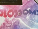BLOSSOMS GETAWAY 10'' PICTURE DISC EP RSD 2017 IN MINT AND SEALED CONDITION