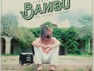 Dennis Wilson Bambu Beach Boys Brian 2LP Colored Vinyl RSD 2017 Vinyl