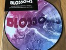 BLOSSOMS - UNPLUGGED 10