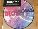 Blossoms Rsd17