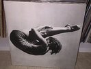LTD 100 Andy Stott Luxury Problems Vinyl 1st Press Millie & Andrea Hate ORIG M-