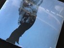 Sunny Day Real Estate The Rising Tide 2xLP 12