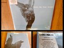 SUNNY DAY REAL ESTATE Rising Tide 2xLP EMO Record Store Day RSD foo fighters