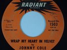 JOHNNY COLE & THE REPTILES: Wrap My Heart in Velvet RADIANT white Doo Wop 45 MP3