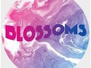 Blossoms - Blossoms * RECORD STORE DAY 2017 VINYL 10