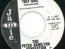 PETER HAMILTON GENERATION - HEY GIRL(VOC / INST) - JAMIE W/D -  - 60's