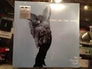 Sunny Day Real Estate 