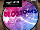 BLOSSOMS -LIVE FROM FESTIVAL NO 6 10