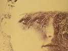 Sulle Corde Di Aries [Vinile] Franco Battiato