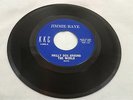 Jimmie Raye 45 Philly Dog Around World/Just Can't Take It Rare Orig N. Soul KKC