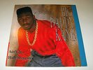 BIG DADDY KANE Ain't No Half-Steppin Vinyl Record LP - Hip Hop Rap Juice Crew