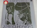 Junior Wells 1972 In My Younger Days Vinyl LP Compilation Chicago Blues NM RL007