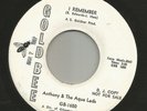 NORTHERN SOUL- ANTHONY & the AQUA LADS-  I REMEMBER- HEAR BOTH-  PROMO GOLD BEE
