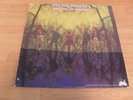 AMERICAN BLUES LP DO THEIR THING UNI 1968 ? PSYCH ZZ TOP FRANK BEARD DUSTY HILL