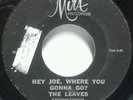 RARE ( GARAGE 45 ) 1965 THE LEAVES - HEY JOE - MIRA 207 (rare mix) VG