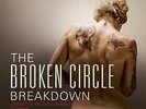 Various - The Broken Circle Breakdown (Vinyl)
