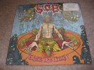 S.O.B - WHATS THE TRUTH - RISE 4 LP - A2/BA - ETCHED MPO - WITH O.I.S - VG/VG