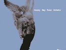SUNNY DAY REAL ESTATE THE RISING TIDE RSD CLEAR VINYL