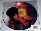 PRINCE 7
