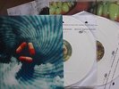 PORCUPINE TREE 