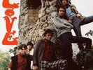 Love (180g Edition) - Vinyl LP Sundazed NEU