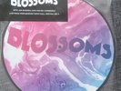 BLOSSOMS LIVE 10