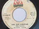 RONNIE DAVIS - JAH JAH JAHOVAH - MICRON ( ROOTS REGGAE 7 )