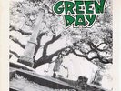 Green Day 39/Smooth NEAR MINT Lookout  Records Vinyl LP