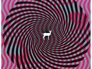 And Their Refinement of the Decline [Digipak] * [LP] by Stars of the Lid...