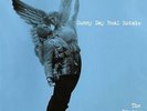 ** Sunny Day Real Estate - The Rising Tide - RSD 2017 2xLP Color Vinyl - New ***