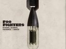 Foo Fighters-Echoes, Silence, Patience and Grace  Vinyl / 12