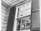 What A Pleasure (Lp) [VINYL] Beach Fossils Vinyl