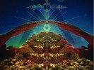 Chris Robinson Brotherhood - Big Moon Ritual 2 x LP Black Crowes CRB SEALED NEW