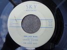 Rockabilly 45 Charles Walton And The Kool Kats Sky-114 Teen Age Blues
