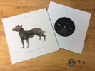 Dog Called Money Single VINYL 7