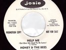 Northern Soul USA Original - Honey & The Bees - Help Me (Demo) ?Hear?