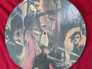 Slayer Raining Blood , Picture Vinyl LP ,