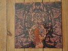 Electric Moon LP Lunatics Revenge