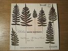 OISTRAKH / ORMANDY 